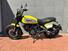 Ducati Scrambler 800 Flat Track Pro (2016 - 17) (11)