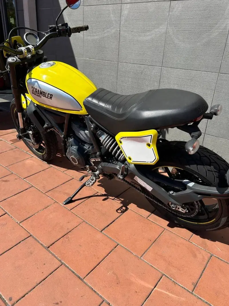 Ducati Scrambler 800 Flat Track Pro (2016 - 17) (12)