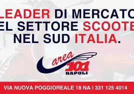 Model.CompanyName