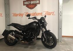 Benelli Leoncino 500 ABS (2017 - 20) usata