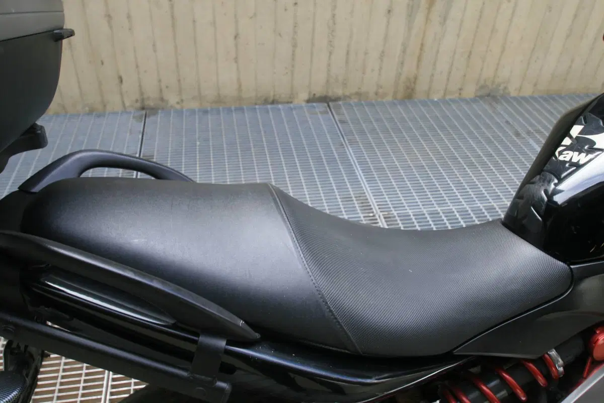 Kawasaki ER-6F (2006 - 08) (6)