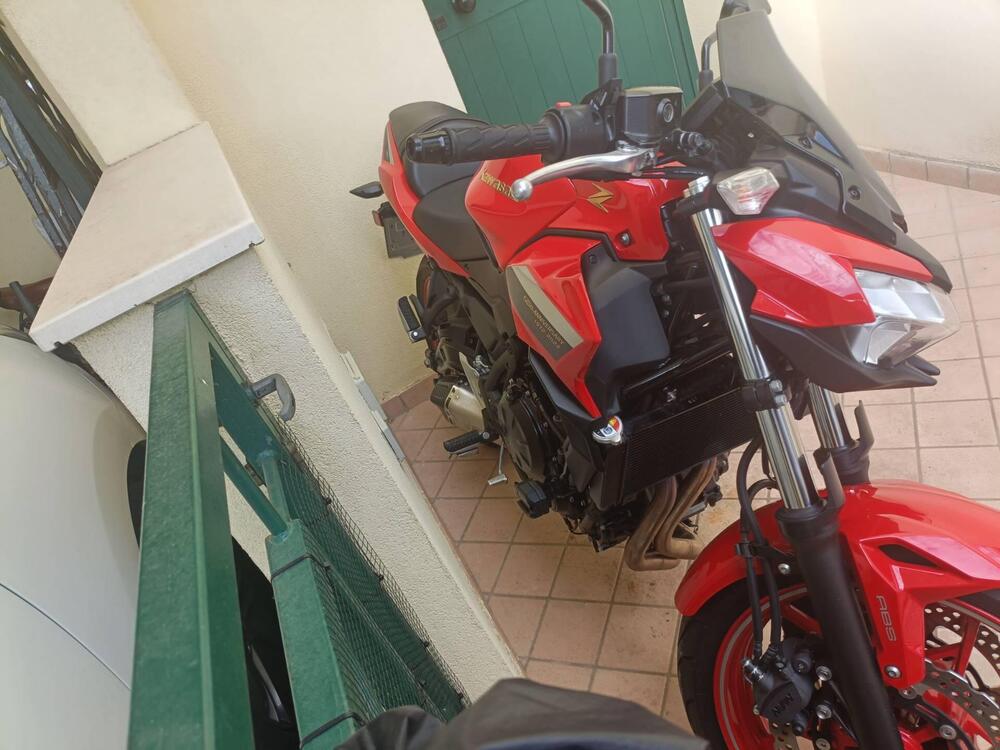 Kawasaki Z 650 50th Anniversary (2022 - 23) (3)