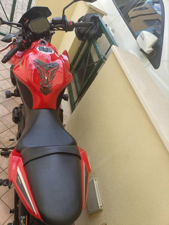 Kawasaki Z 650 50th Anniversary (2022 - 23) (5)