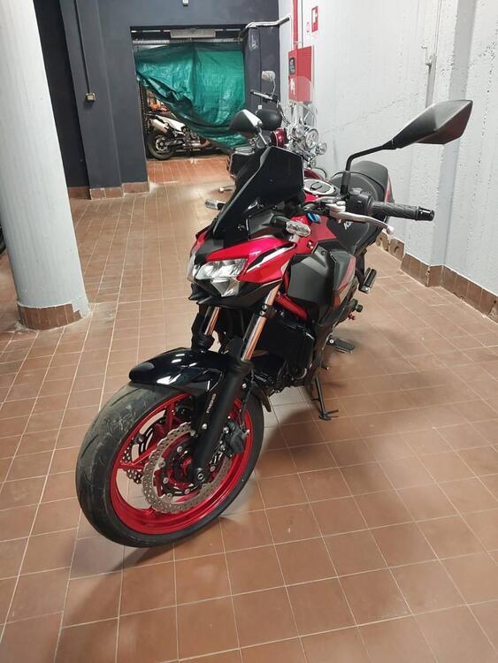 Kawasaki Z 650 (2021 - 24)
