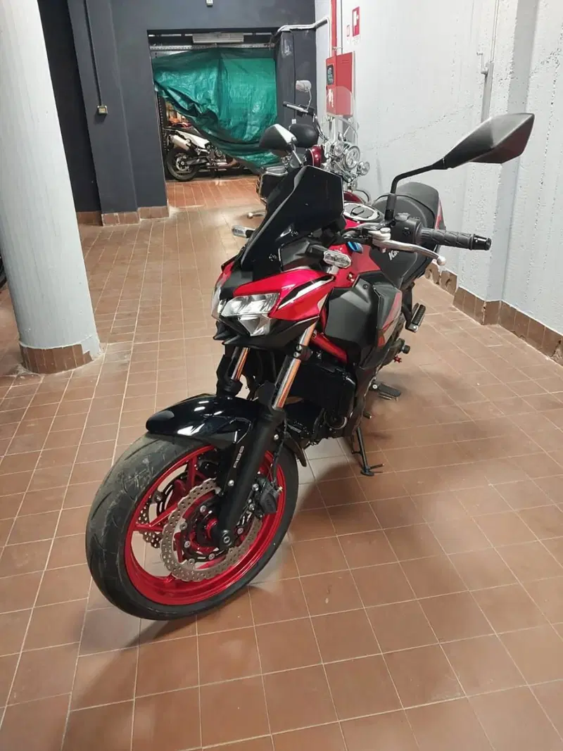 Kawasaki Z 650 (2021 - 24)