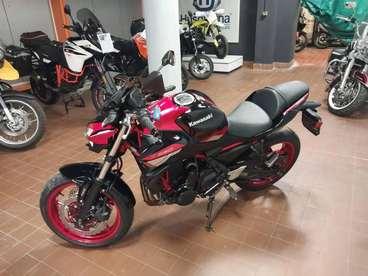 Kawasaki Z 650 (2021 - 24) (2)