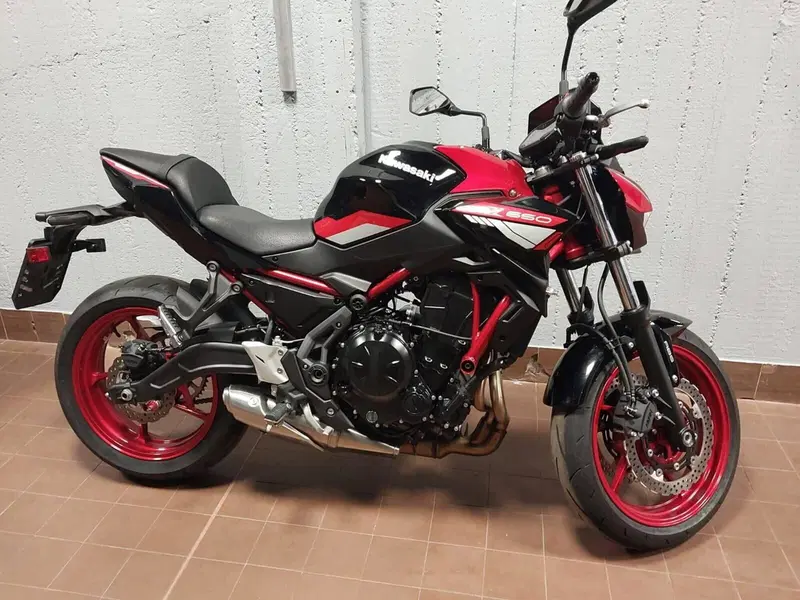 Kawasaki Z 650 (2021 - 24) (3)