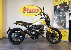 Ducati Scrambler 800 Icon (2023 - 25) usata