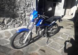 Betamotor Alp 4.0 (2008 - 17) usata