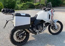 Ducati DesertX (2022 - 25) usata