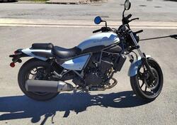 Kawasaki Eliminator 500 (2024 - 26) nuova