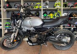 Voge Trofeo 300ACX Scrambler (2021 - 25) usata