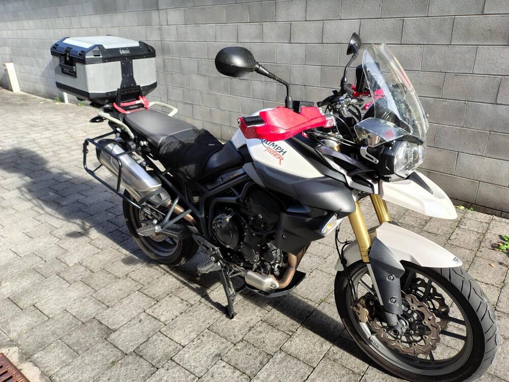 Triumph Tiger 800 ABS (2010 - 14) (3)
