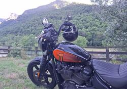 Harley-Davidson Street Bob 114 (2021 - 24) usata