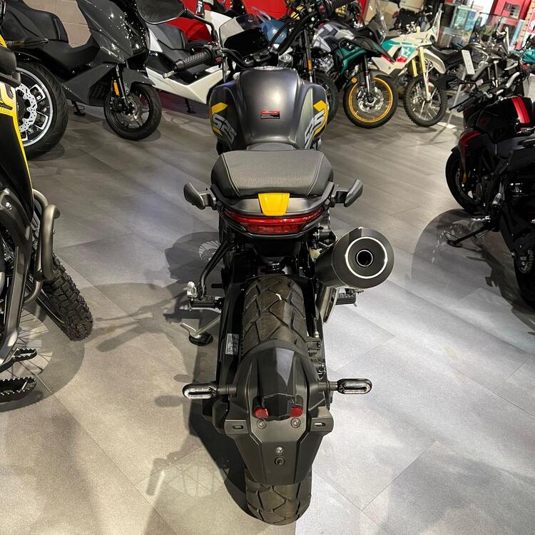 Voge Trofeo 525ACX Scrambler (2023 - 25) (4)