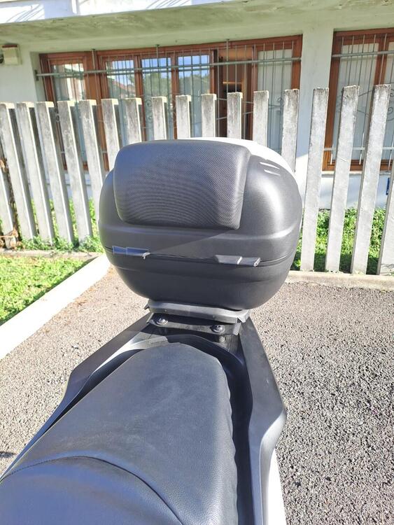 Honda PCX 125 (2021 - 24) (5)