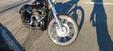 Harley-Davidson 1200 Custom (2007 - 13) - XL 1200C (6)