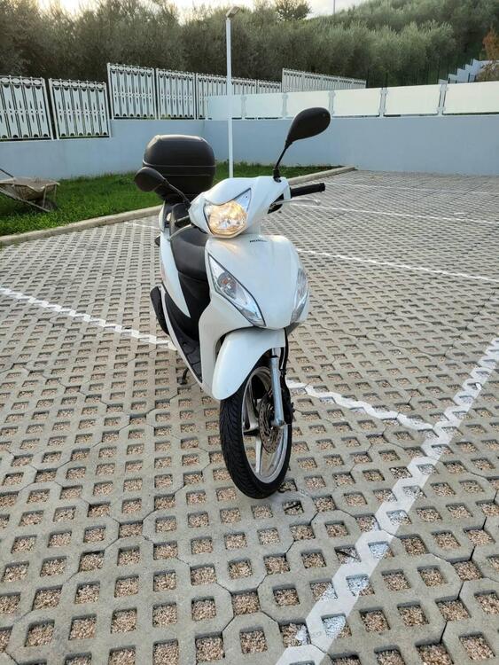 Honda Vision 50 (2011 - 17) (2)