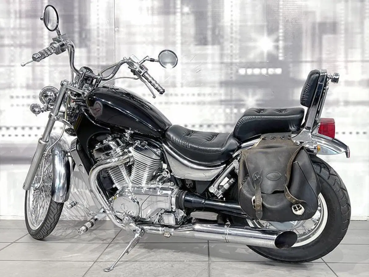 Suzuki VS 800 GL (1992 - 98) (2)