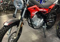 Rieju E-Tango (2024 - 25) nuova