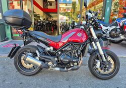 Benelli Leoncino 500 (2021 - 25) usata