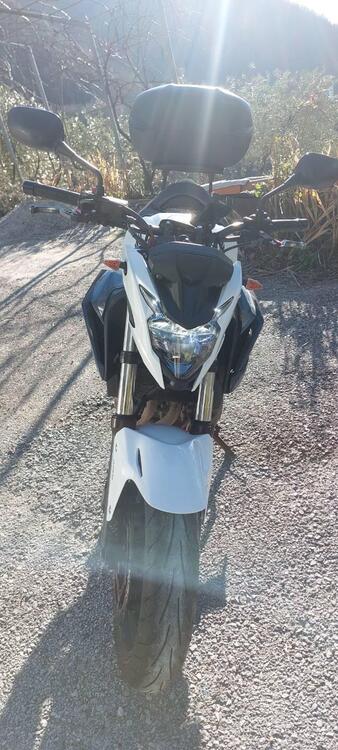 Honda CB 500 F ABS (2017 - 18) (4)