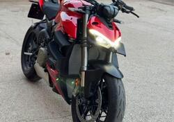 Ducati Streetfighter V4 (2023 - 24) usata