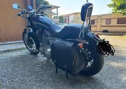 Harley-Davidson 883 Custom (2001 - 05) - XL 53C usata