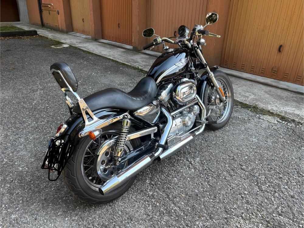 Harley-Davidson 883 Custom (2001 - 05) - XL 53C (2)
