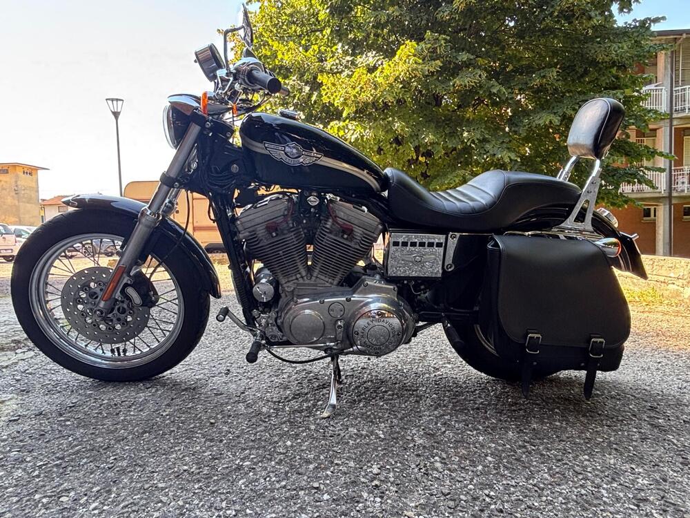 Harley-Davidson 883 Custom (2001 - 05) - XL 53C (5)