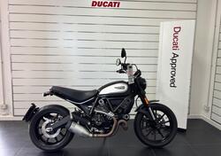 Ducati Scrambler 800 Icon (2021 - 22) usata