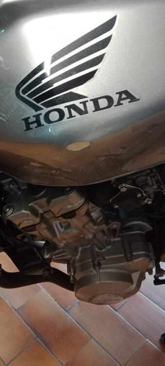 Honda Hornet 600 (2005 - 06) (5)