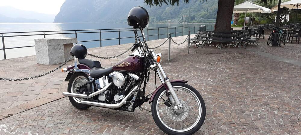 Harley-Davidson Softail Custom FXSTC 1340 (2)