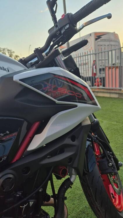 Kawasaki Z 500 SE (2024 - 26) (4)