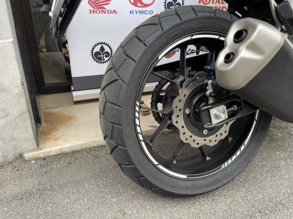 Honda NX500 (2024 - 25) (2)