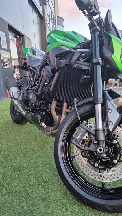 Kawasaki Z 900 (2025 - 26) (4)