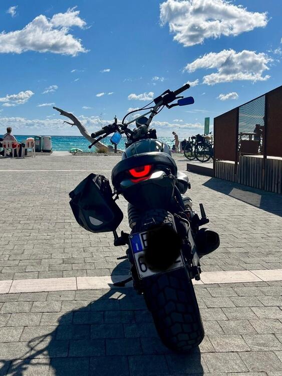 Ducati Scrambler 800 Urban Enduro (2015 - 16) (3)