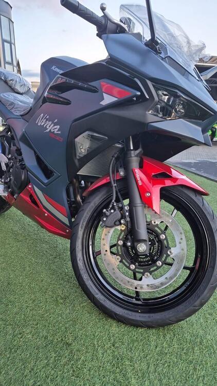 Kawasaki Ninja 500 SE (2024 - 26)