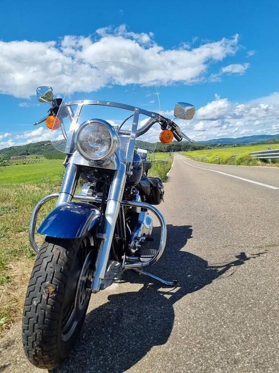 Harley-Davidson Fat Boy (5)