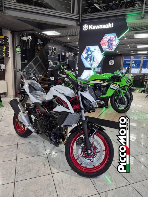 Kawasaki Z 500 SE (2024 - 26) (2)