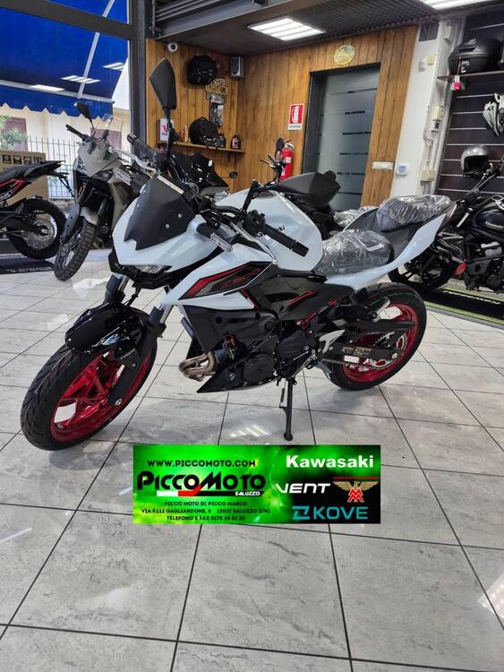 Kawasaki Z 500 SE (2024 - 26) (4)