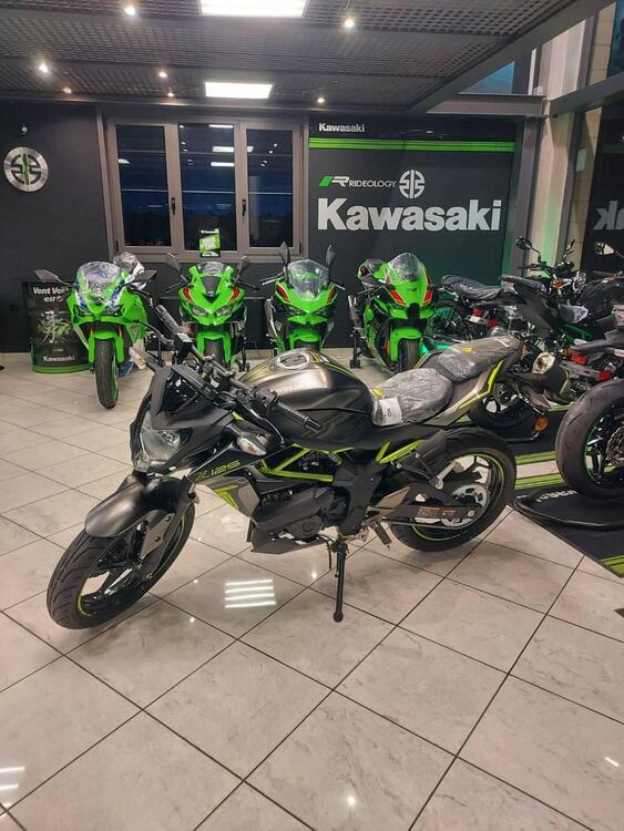 Kawasaki Z 125 (2021 - 24)