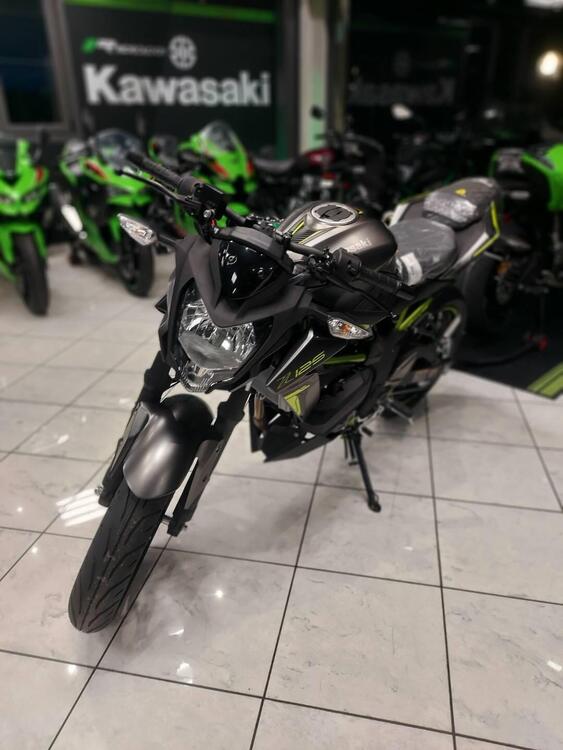 Kawasaki Z 125 (2021 - 24) (3)