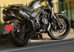 Voge Trofeo 525ACX Scrambler (2023 - 25) usata
