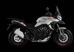 Morbidelli T1002VX (2024 - 25) nuova