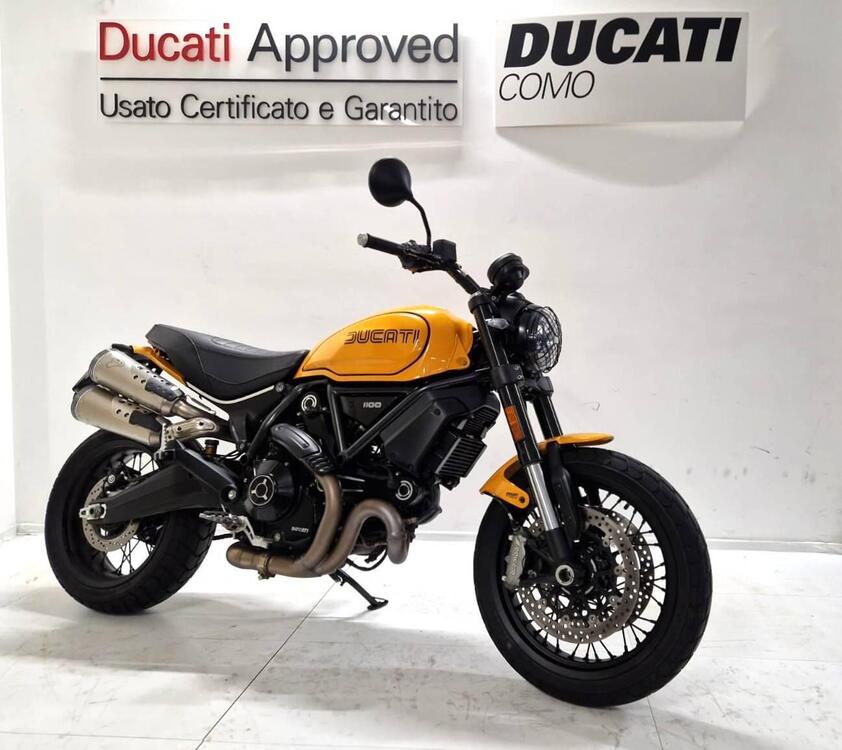 Ducati Scrambler 1100 Tribute Pro (2022 - 24)
