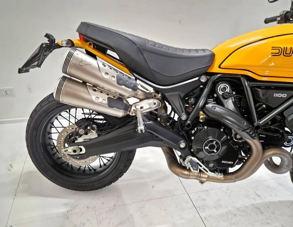 Ducati Scrambler 1100 Tribute Pro (2022 - 24) (4)