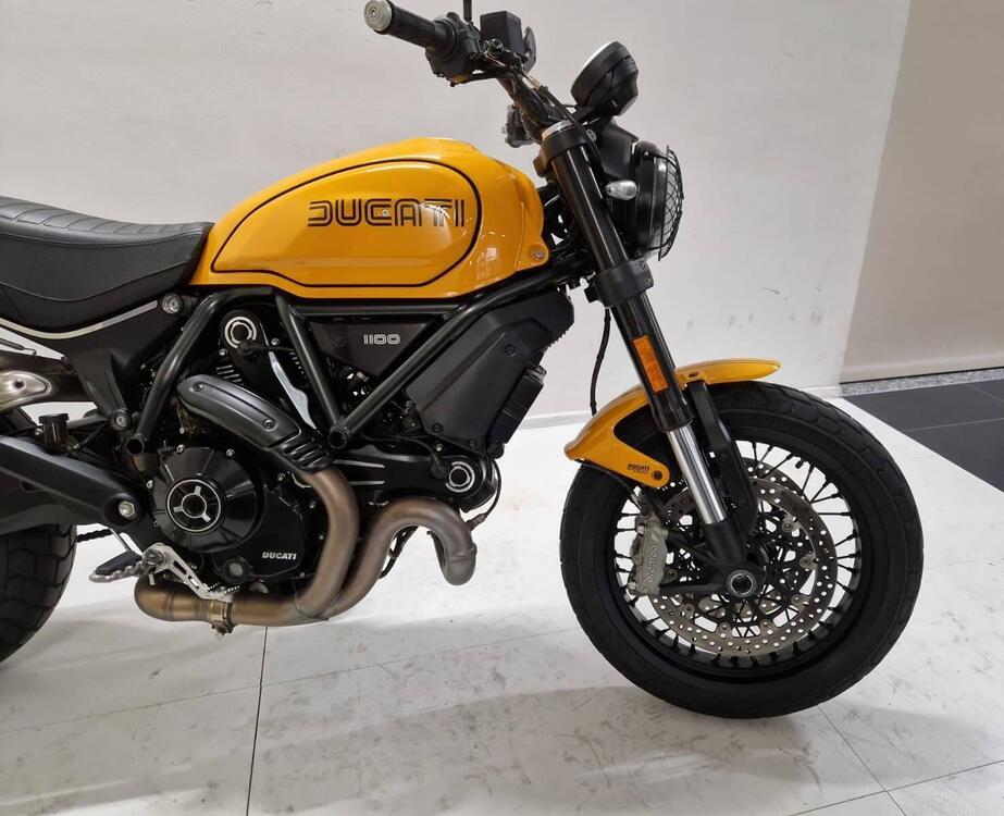 Ducati Scrambler 1100 Tribute Pro (2022 - 24) (5)