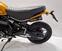 Ducati Scrambler 1100 Tribute Pro (2022 - 24) (6)