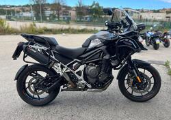 Triumph Tiger 1200 GT Pro (2022 - 23) usata